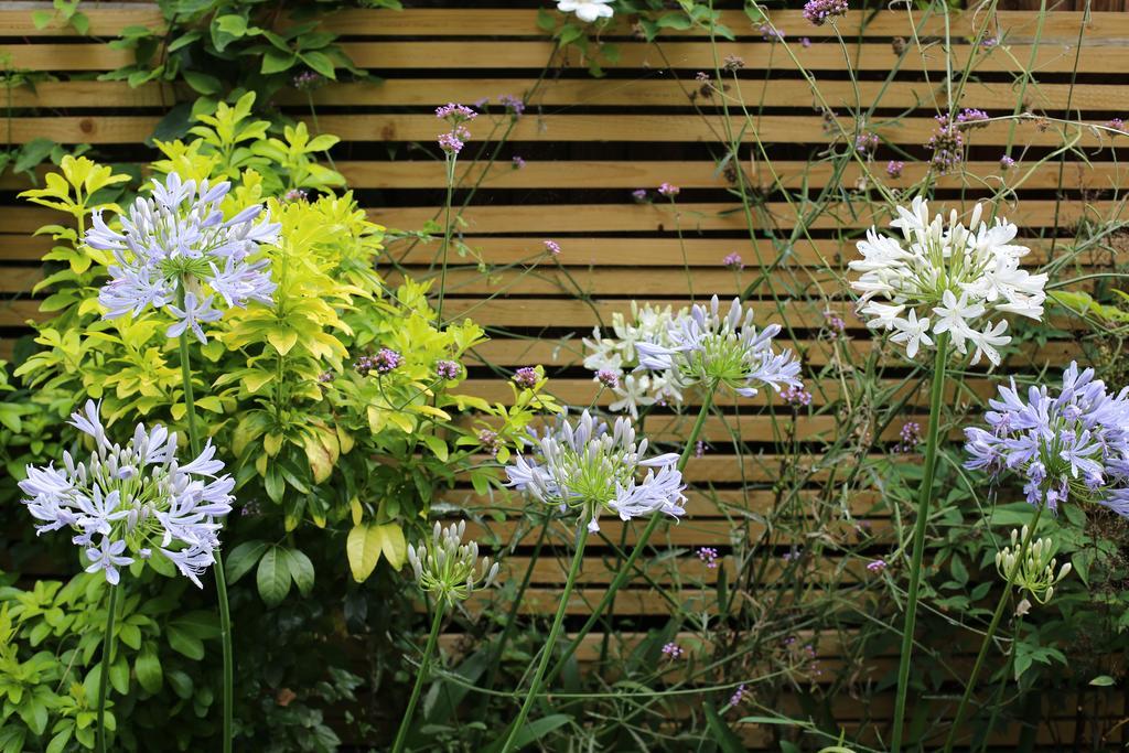 Shoreditch 1 With Garden Лондон Номер фото